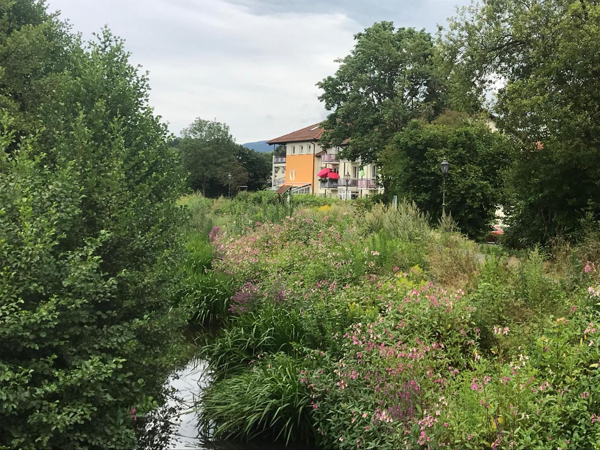 Apartamento Ferienresidenz Am Weissen Regen Kötzting Exterior foto